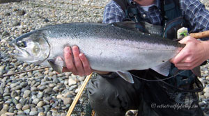 Native Trout Fly Fishing