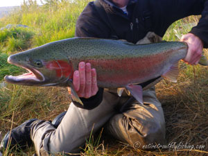 Native Trout Fly Fishing