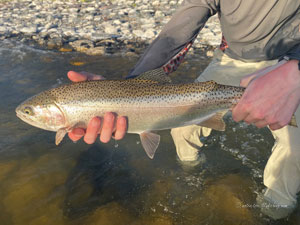 Native Trout Fly Fishing