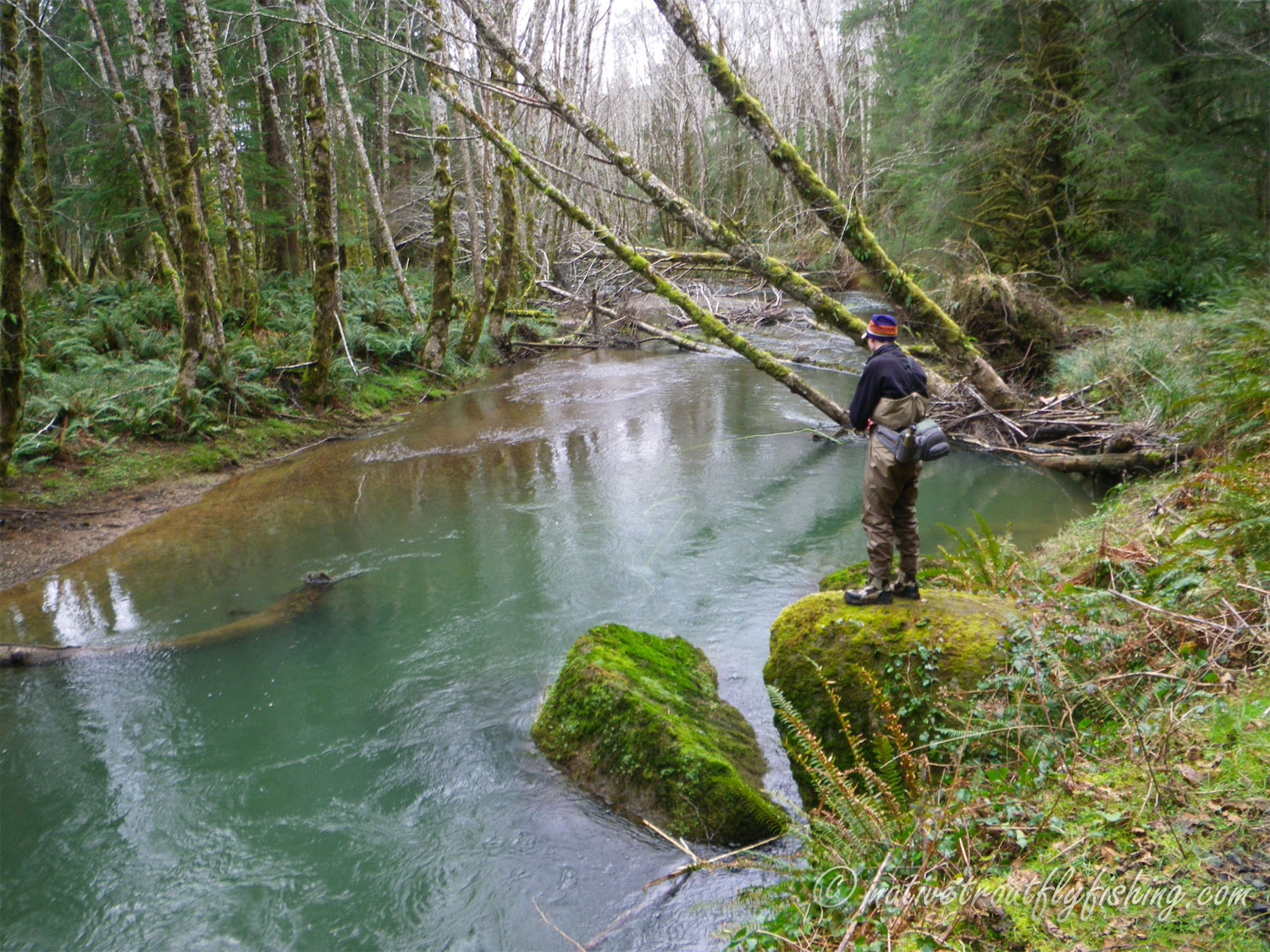 Native Trout Fly Fishing